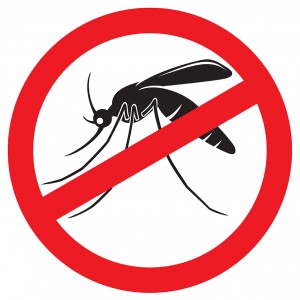 Campanha contra o Aedes
