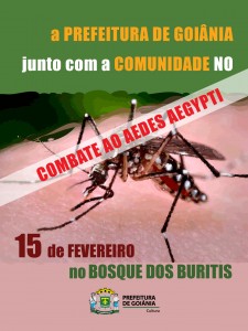 e-flyer_Aedes