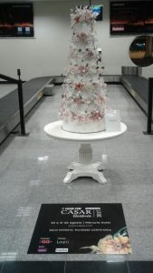 Maquete no Aeroporto 4