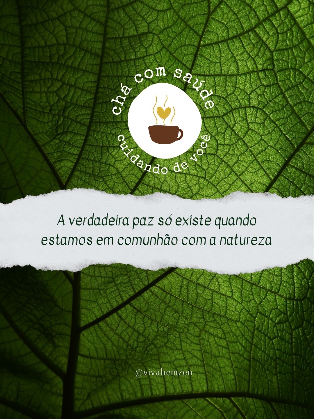 CHÁ COM SAÚDE #14 — GEO RAIZ  Nutrindo Raízes: encontro aproxima saúde, terra e saberes da natureza
