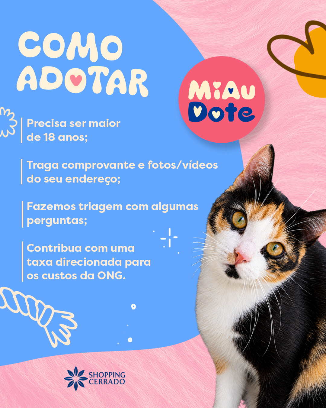 Evento de adoção responsável reúne 31 cães no Shopping Cerrado neste sábado (3)