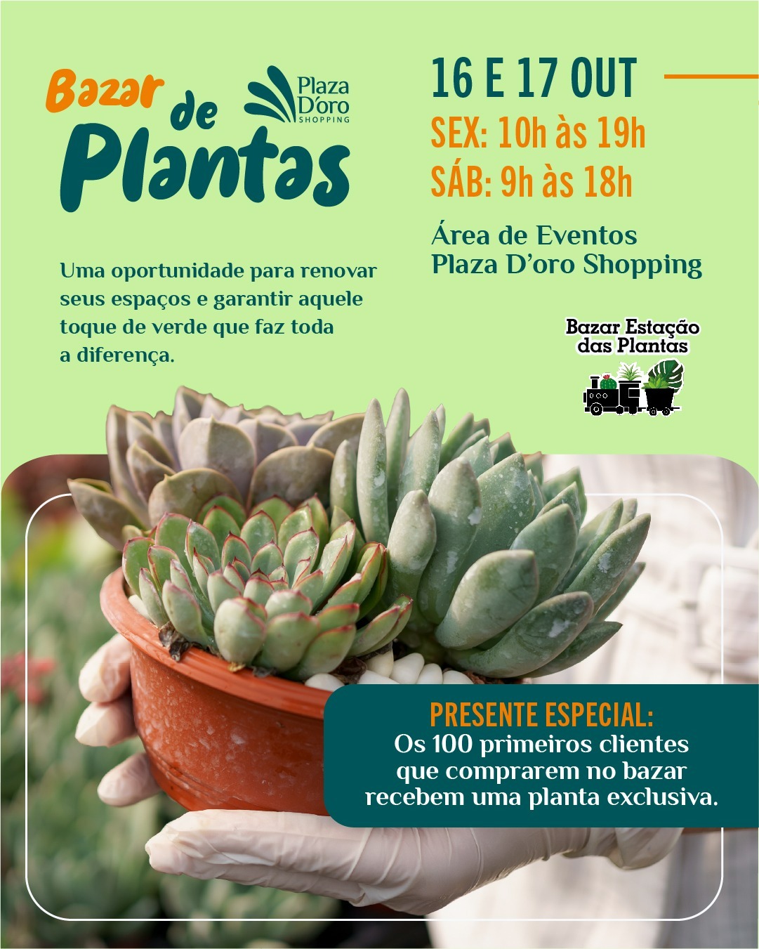 Bazar Estação das Plantas chega à 6ª edição no Plaza D’oro com homenagem ao Outubro Rosa